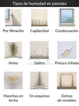 Visualización de humedades