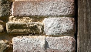 humedad en una vivienda